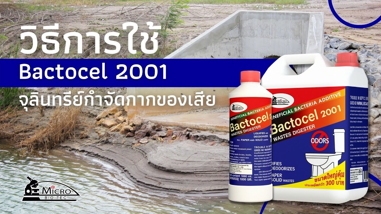 วิธีการใช้ Bactocel 2001