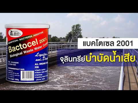 แบคโตเซล 2001 จุลินทรีย์บำบัดน้ำเสีย!