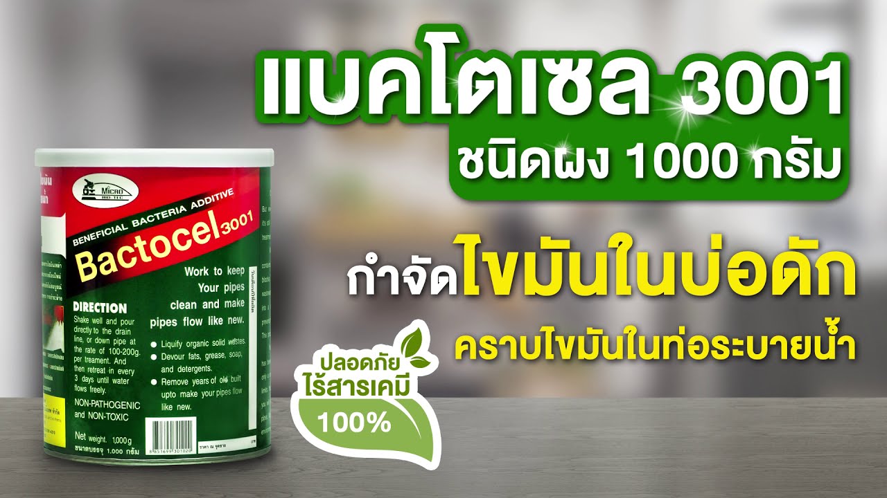 แบคโตเซล (Bactocel) 3001 ย่อยสลายไขมัน กำจัดไขมัน ดับกลิ่นเหม็นไขมัน ไขมันบ่อดัก