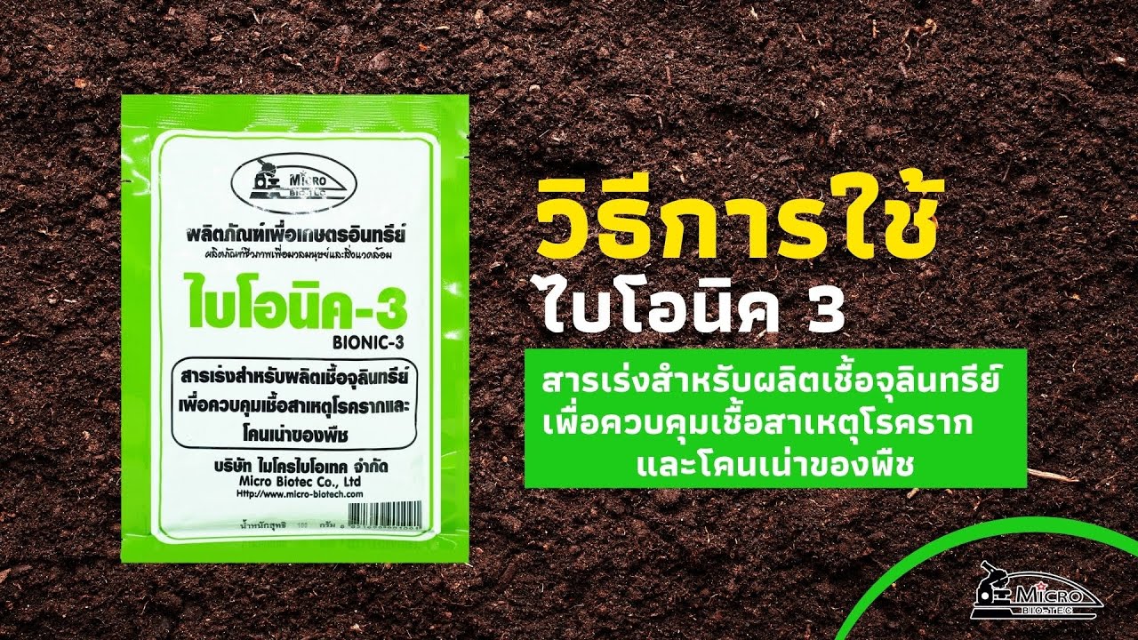 วิธีการใช้จุลินทรีย์เพื่อการเกษตร Bionic สูตร 3 สารเร่งผลิตเชื้อป้องกันโรครากเน่า | ไมโครไบโอเทค