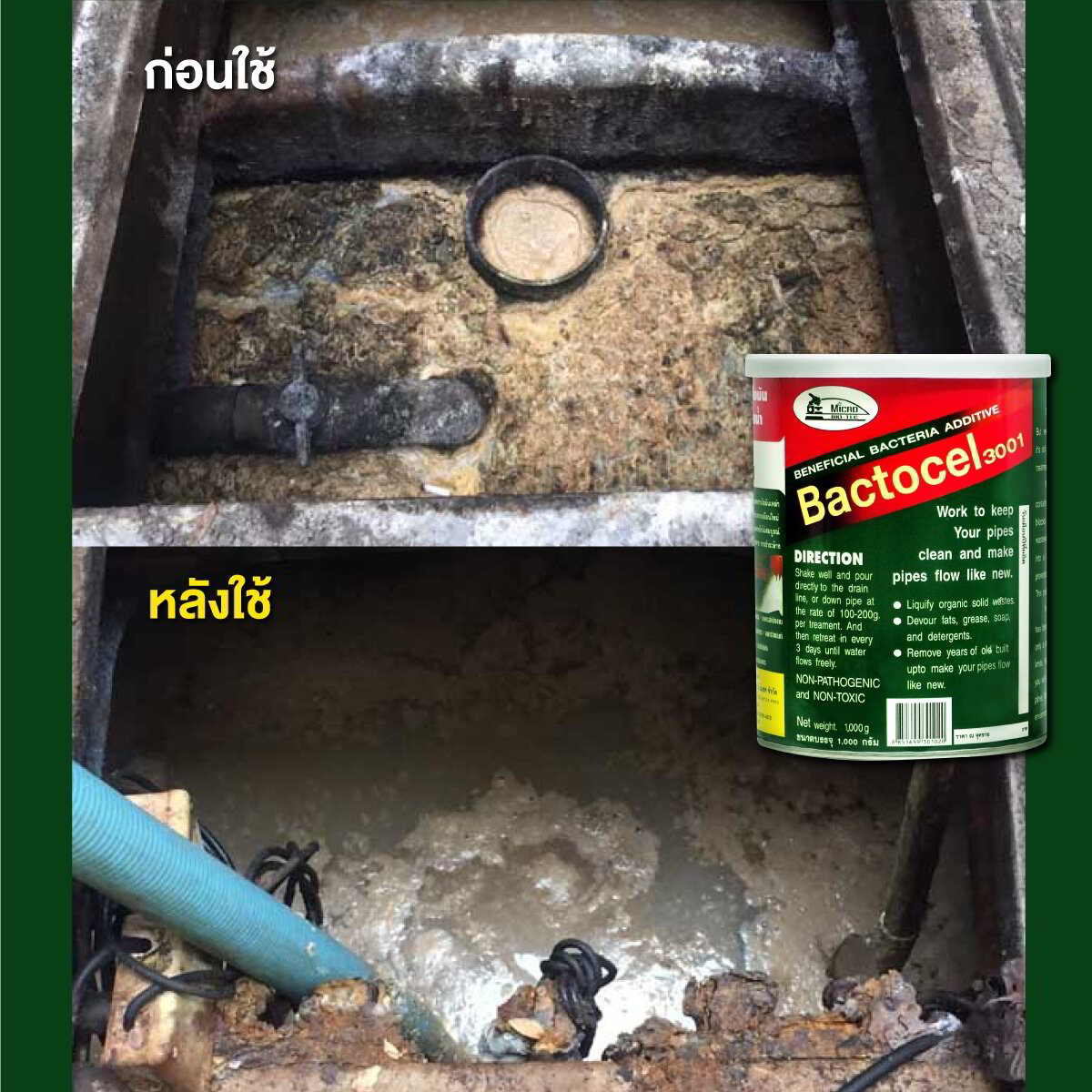 ผลลัพธ์หลังใช้ Bactocel 3001