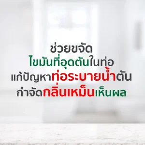 แบคโตเซล 3001 ชนิดแกลลอน (5 ลิตร) - Image 4