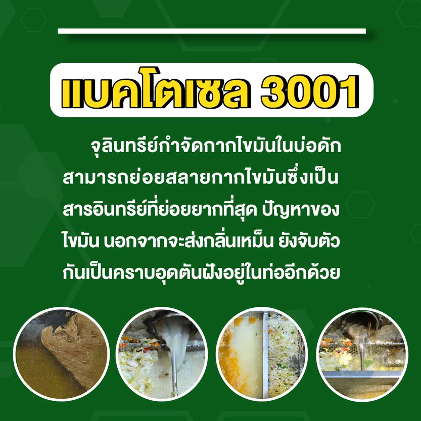 แบคโตเซล 3001 1000 cc. - Image 2