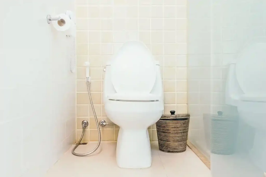 hygiene-bowl-modern-bath-close_result copy