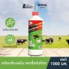 Bactocel 4001 1000cc จุลิทรีย์กำจัดกลิ่นเหม็น คอกสัตว์ กลิ่นสัตว์ ลดแมลงวัน แบคโตเซล กลิ่นมูลสัตว์