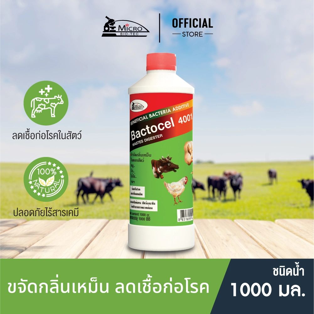 Bactocel 4001 1000cc จุลิทรีย์กำจัดกลิ่นเหม็น คอกสัตว์ กลิ่นสัตว์ ลดแมลงวัน แบคโตเซล กลิ่นมูลสัตว์