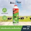 แบคโตเซล 3001 300cc. กำจัดไขมัน กำจัดกลิ่นไขมัน บ่อดักไขมัน กลิ่นเหม็นไขมัน สลายไขมันในท่อ Bactocel