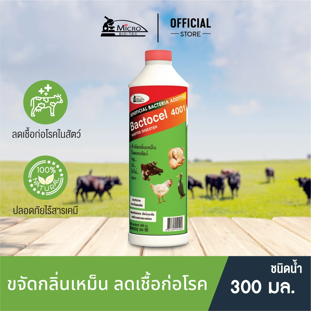 แบคโตเซล 3001 300cc. กำจัดไขมัน กำจัดกลิ่นไขมัน บ่อดักไขมัน กลิ่นเหม็นไขมัน สลายไขมันในท่อ Bactocel