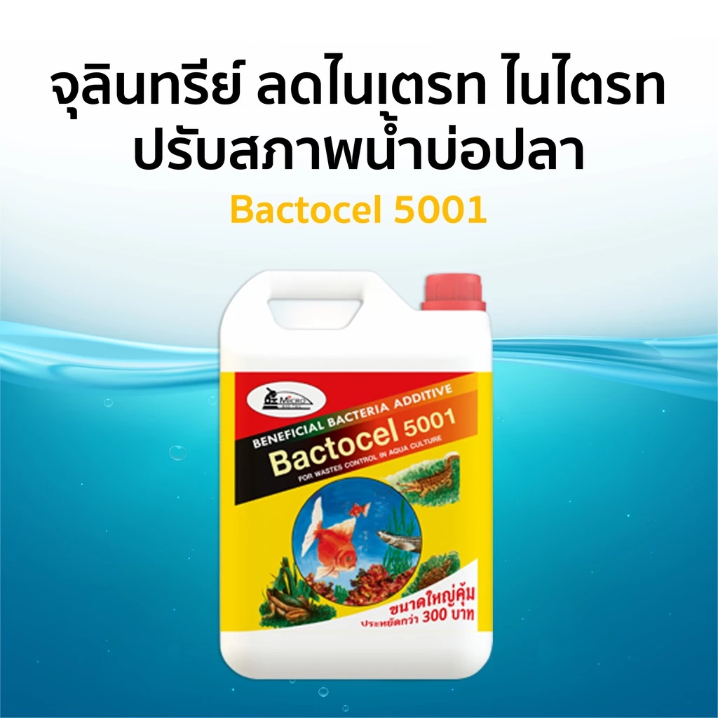 แบคโตเซล 5001 (5 ลิตร) - Image 4
