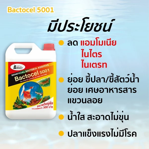 แบคโตเซล 5001 (5 ลิตร) - Image 5
