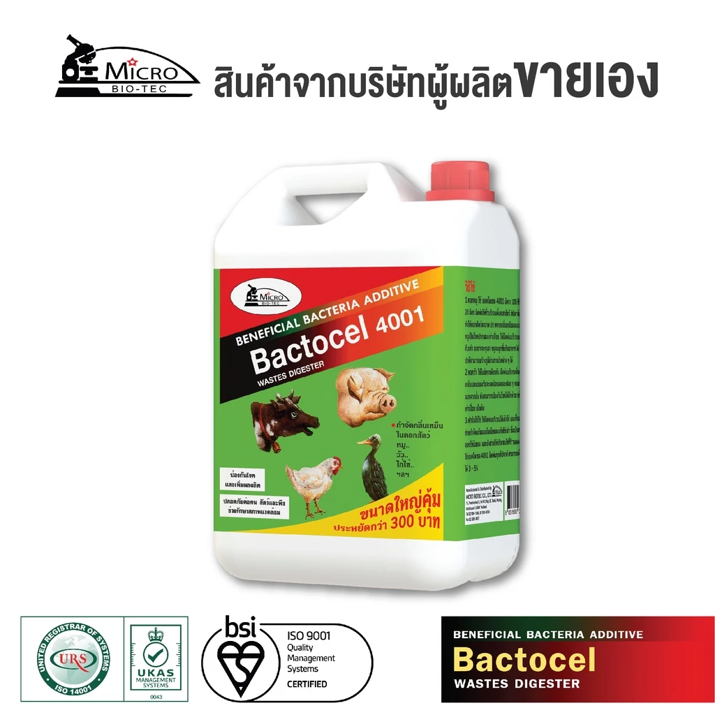 แบคโตเซล 4001 (5 ลิตร) - Image 3