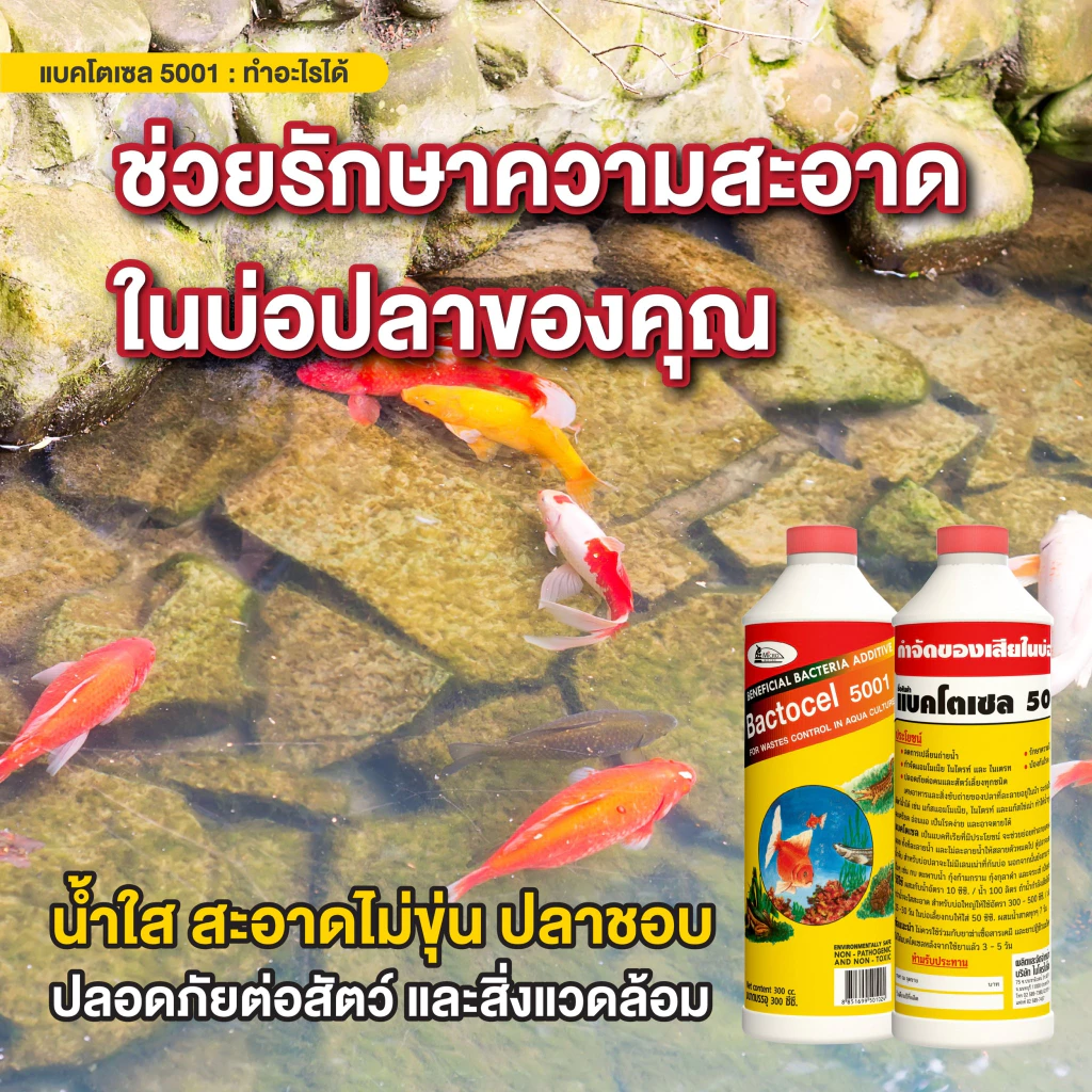 แบคโตเซล 5001 (5 ลิตร) - Image 6