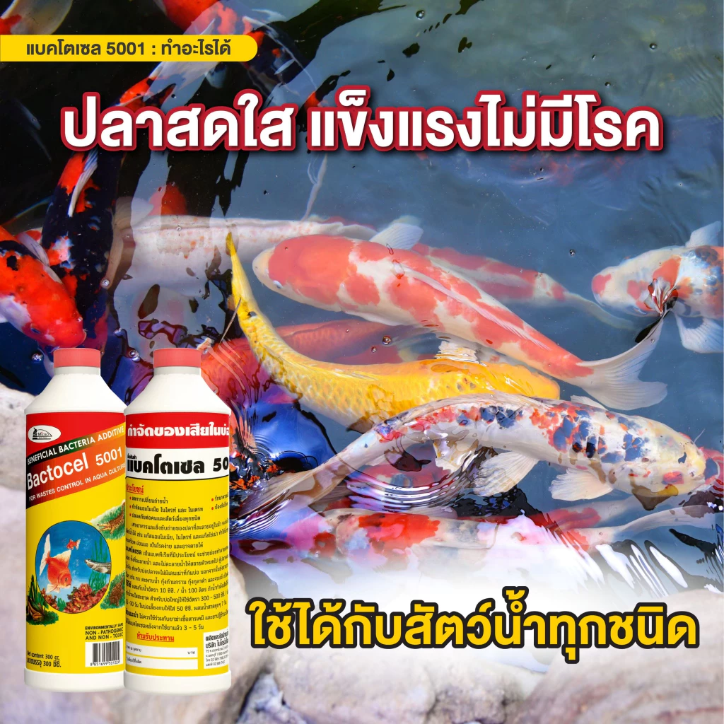 แบคโตเซล 5001 (5 ลิตร) - Image 3