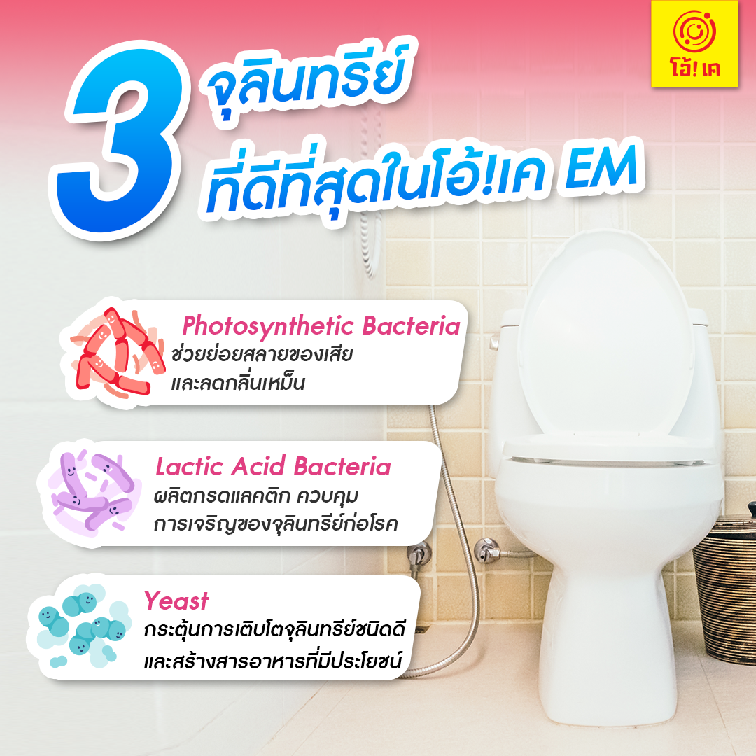 โอ้เค EM จุลินทรีย์กำจัดกลิ่น 1000 มล. - Image 2