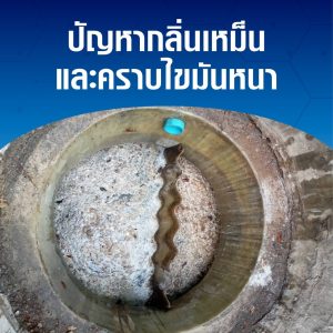นาโนไซม์ - Image 2