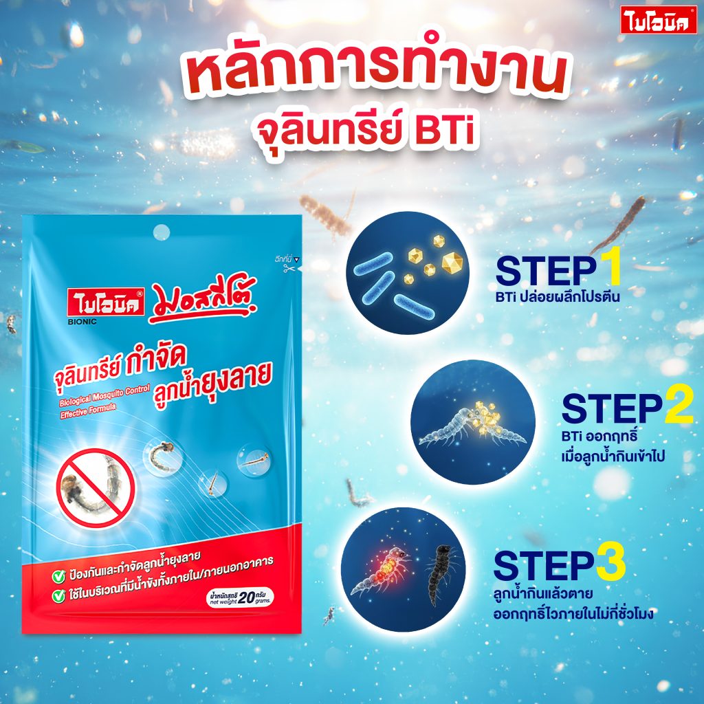 จุลินทรีย์กำจัดลูกน้ำยุงลาย ด้วยเชื้อ Bti ทำลายระบบทางเดินอาหารลูกน้ำยุงลาย