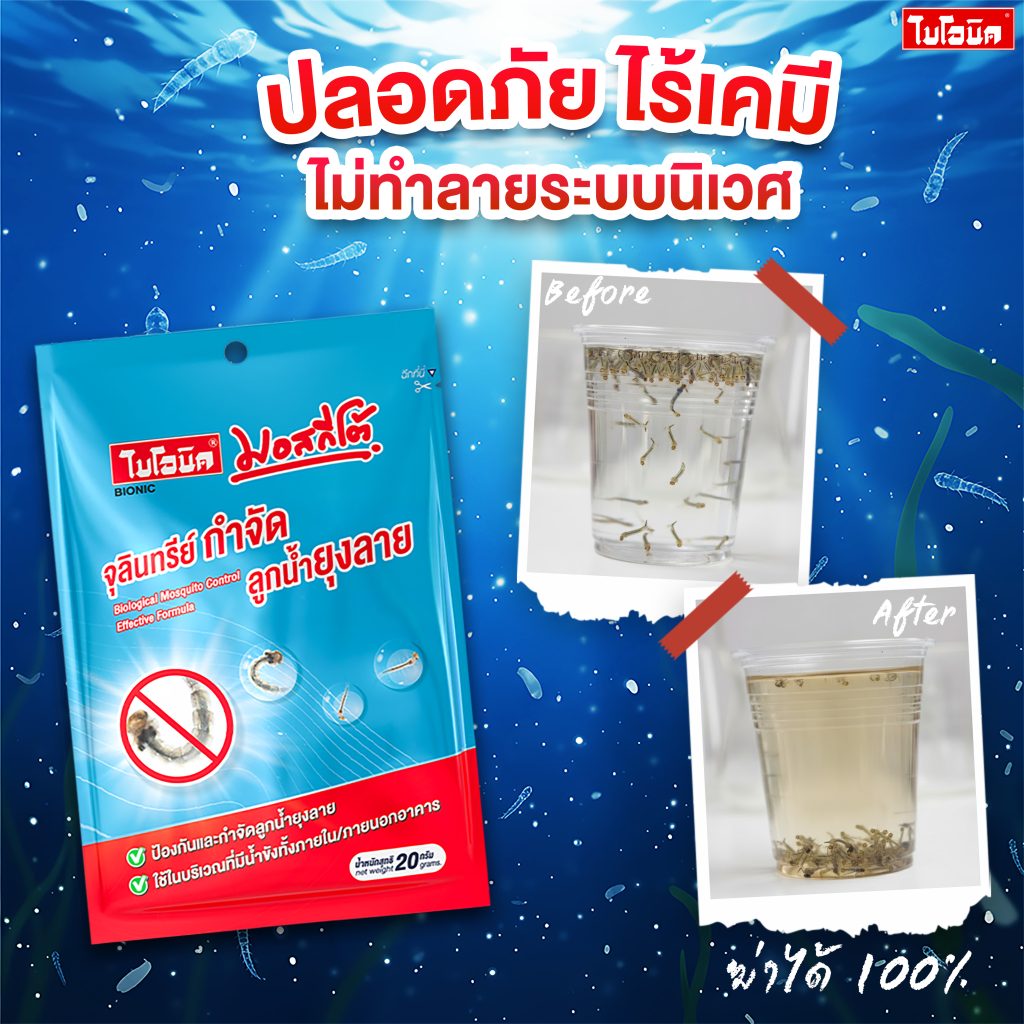 ภาพเปรียบเทียบก่อนใช้และหลังใช้จุลินทรีย์กำจัดลูกน้ำยุงลาย ลูกน้ำยุงลายลดลงอย่างชัดเจน